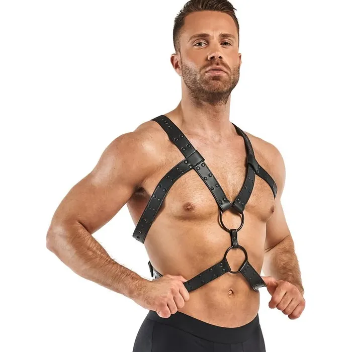 Bedroom Fantasies Anal Rocco Bondage Harness Black