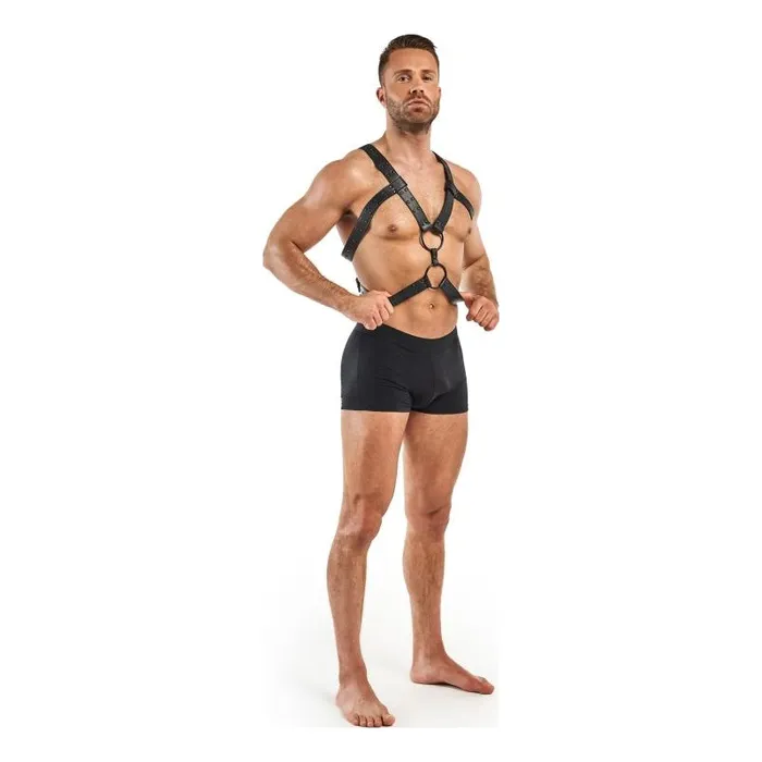 Bedroom Fantasies Anal | Rocco Bondage Harness Black