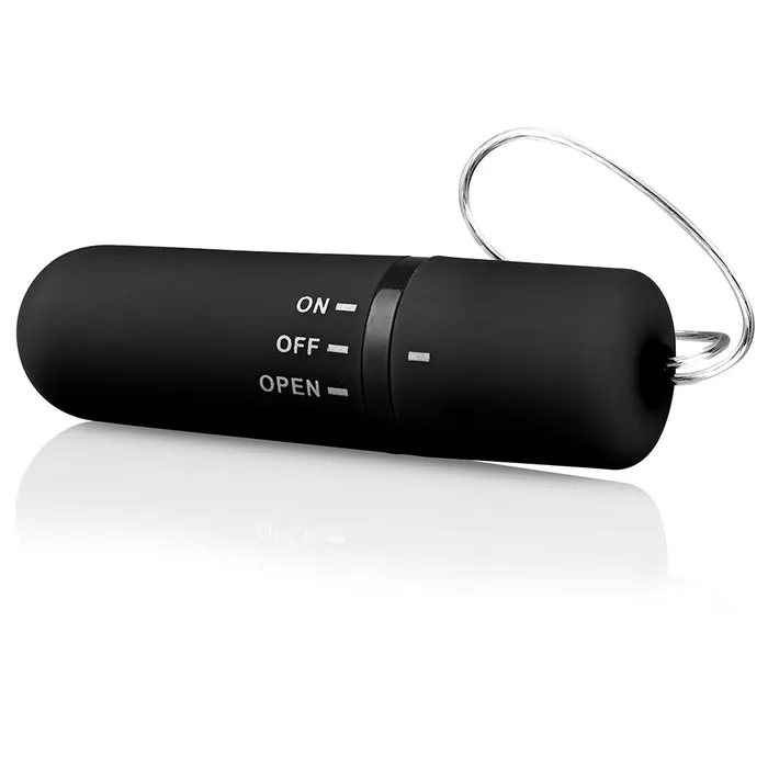 Screaming O Female Sex Toys | Screaming O Remote Control Panty Vibrator