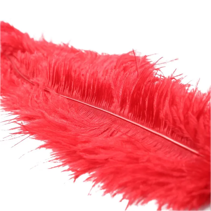 Sport Sheets Ostrich Feather Red Vibrators