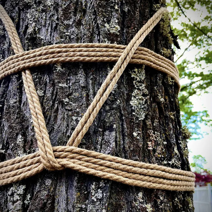 Couples Rope Bondage Fundamentals 1 with Mx Knotty Ashland eventcalendarapp