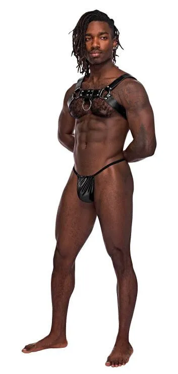 Male Power Lingerie Female Sex Toys Aries Leather Harness in Black Unleash Your Inner Dominance