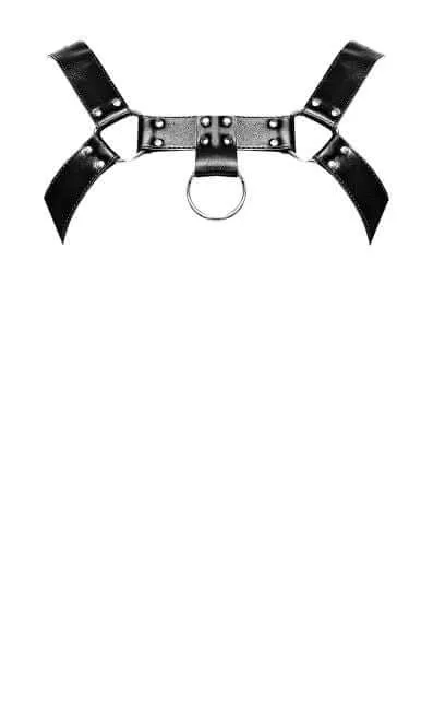Male Power Lingerie Female Sex Toys Aries Leather Harness in Black Unleash Your Inner Dominance