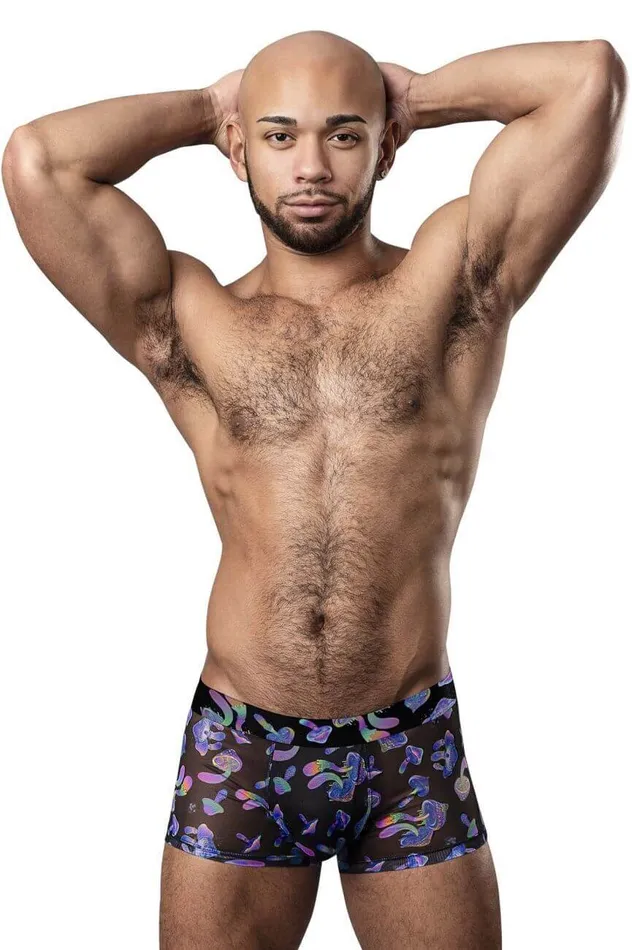 Male Sex Toys Hazy Dayz Pouch Short Mushroom Small Comfortable Mesh Briefs Male Power Lingerie Male Sex Toys Hazy Dayz Pouch Short Mushroom Small Comfortable Mesh Briefs Male Power Lingerie