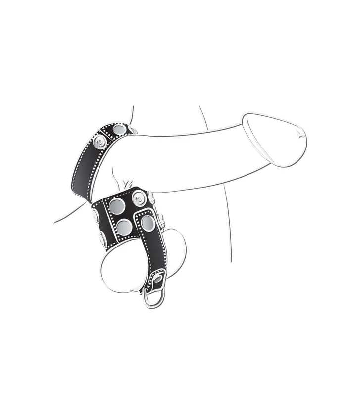 Male Sex Toys Nasstoys Ballgear Ball Stretcher with Separator and DRing Black Male Sex Toys Nasstoys Ballgear Ball Stretcher with Separator and DRing Black