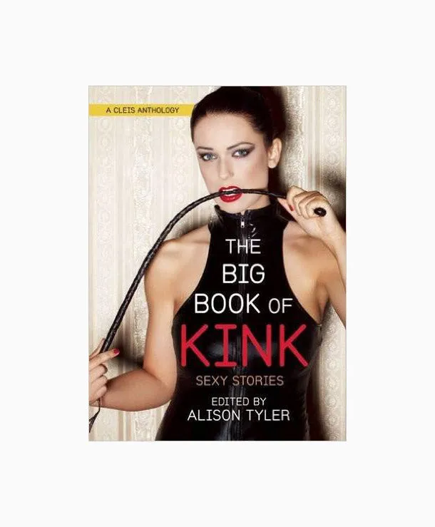 Dildos Books The Big Book of Kink Sexy Stories
