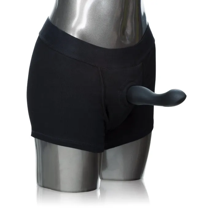 Female Sex Toys CalExotics Packer Gear Boxer Brief Harness Largeextralarge Black Female Sex Toys CalExotics Packer Gear Boxer Brief Harness Largeextralarge Black