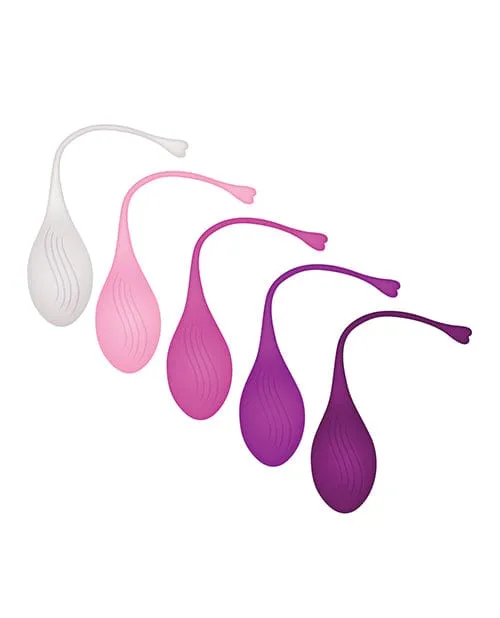 Female Sex Toys Evolved Novelties Evolved Tight Delight 5 Piece Weighted Kegel Ball Set Assorted Colors Female Sex Toys Evolved Novelties Evolved Tight Delight 5 Piece Weighted Kegel Ball Set Assorted Colors