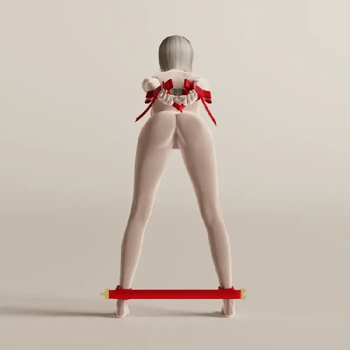 Portable Bowknot Spreader Bar and Restraint Set UPKO Female Sex Toys
