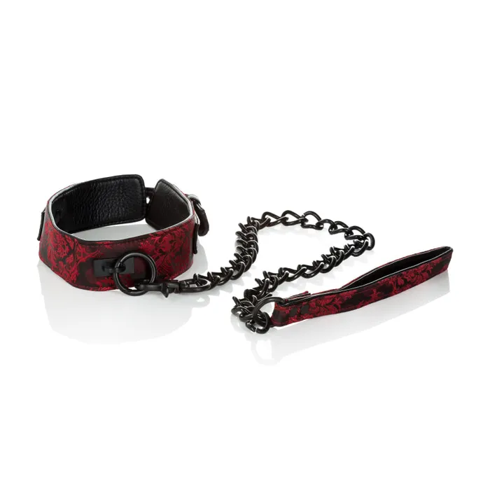 Scandal Collar With Leash CalExotics Male Sex Toys Scandal Collar With Leash CalExotics Male Sex Toys
