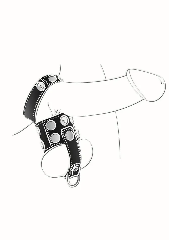 Ballgear Male Sex Toys Ballgear Ball Stretcher with Separator and DRing