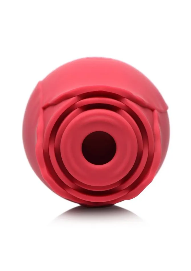 Inmi Bloomgasm Wild Rose 10x Silicone Rechargeable Clit Stimulator with Suction Bloomgasm Female Sex Toys